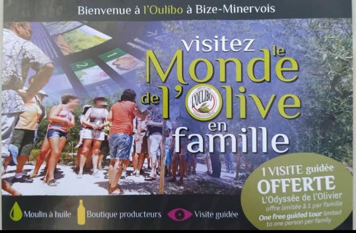 La Villa Du Menhir Gite Биз-Минервуа Экстерьер фото